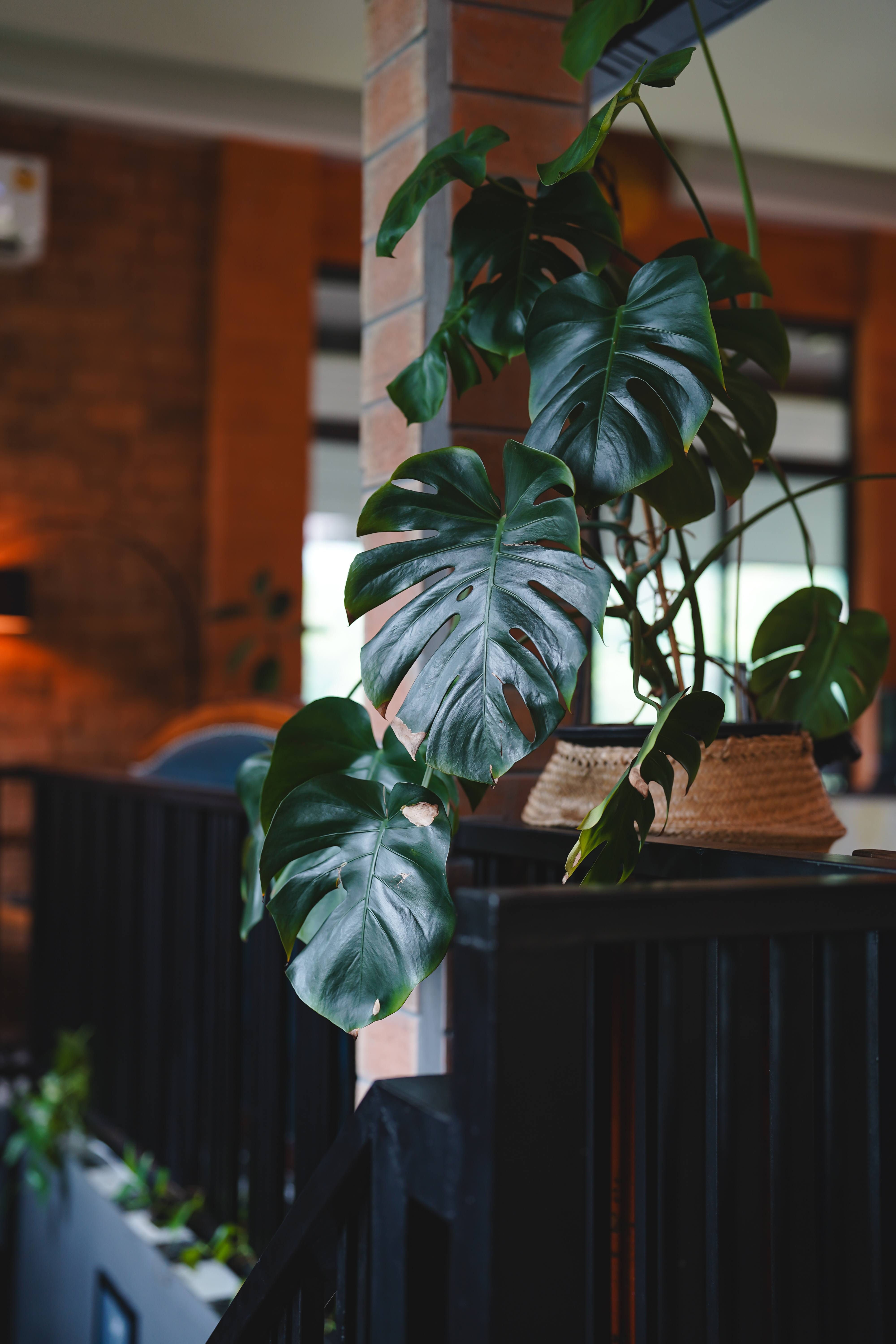 Why Grandma Jazz Exists: A Quiet Café Built on Care, Community, and Inclusion — image 3